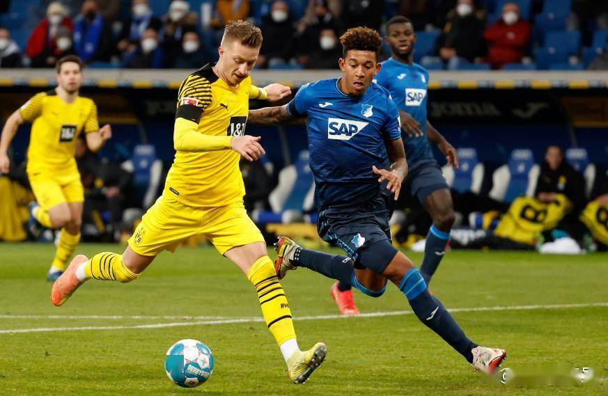 德甲：霍芬海姆对战多特蒙德，最近五次在自己家门口全输了，这次后防线还伤得没人了，比分预测